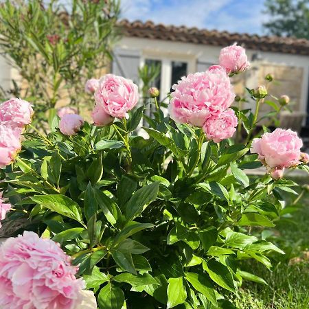 Mas La Farelle Gite, Fitness & Salle De Jeux Gratuite & Spa En Supplement Nîmes Eksteriør bilde
